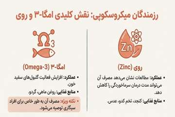 info (50)